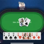 Cách chơi bài sâm