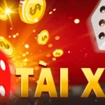 Các loại cầu tài xỉu